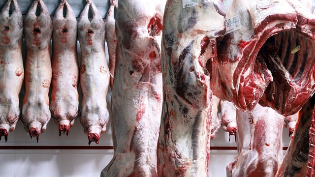 New sheep carcass rules to ‘deliver fairer prices for farmers’ – Defra