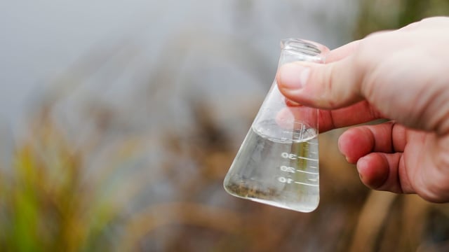 Court: NI farmer convicted for water pollution offence