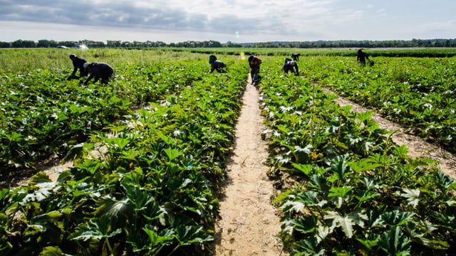 Agri workers in NI to receive pay rise under new proposals