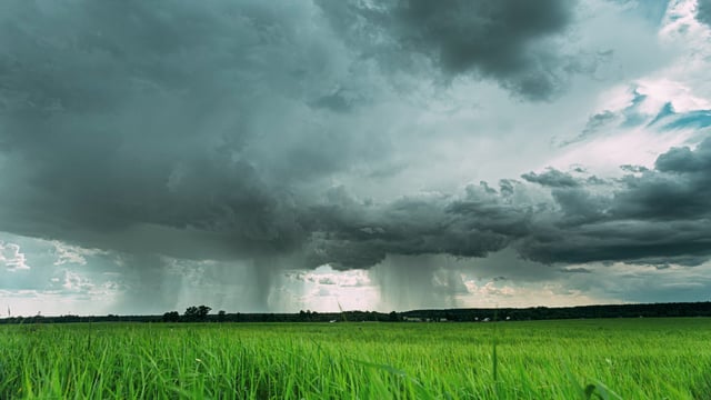 Flooding ‘increases risk of avian influenza incursion’ – DAERA