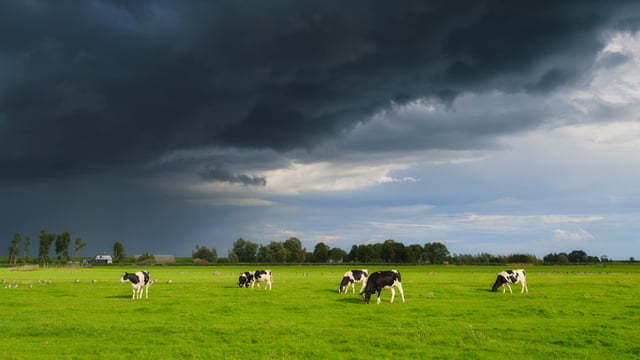 NI farmers warned on mineral loss after ‘wettest start in nearly 150 years’