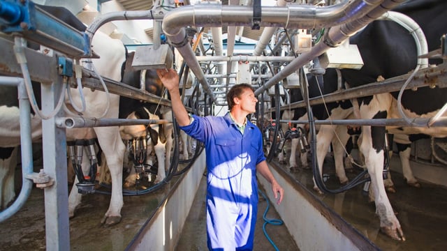 Why Dale Farm and Aurivo pulled the plug on merger talks