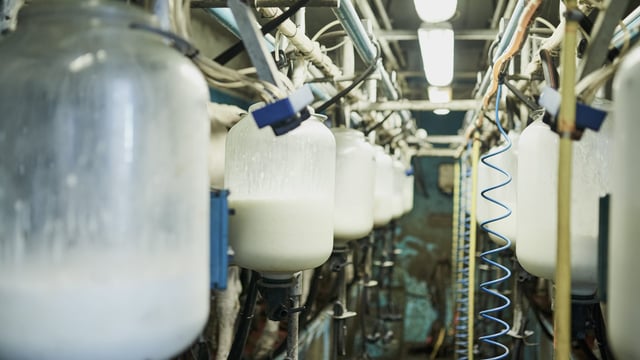 Keeping thermoduric bacteria out of the parlour