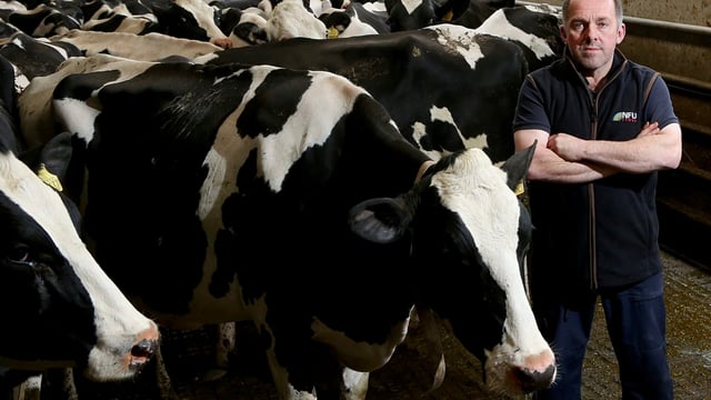 NFU: Next Welsh govt ‘must give hope’ of a future without bTB