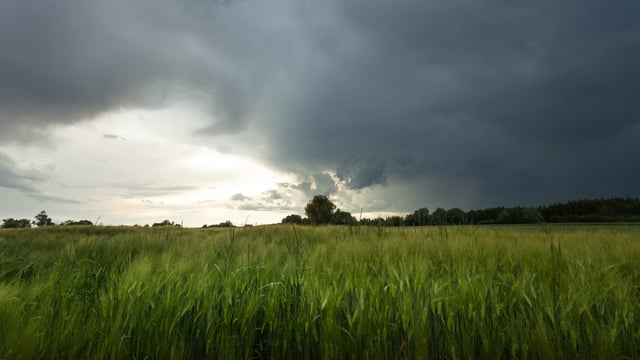 Warning issued as Storm Dave to bring ‘severe gusts’ over Easter weekend