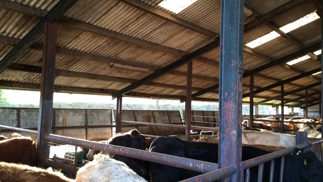 Two farm deaths in 2026 caused by falls from height – HSENI