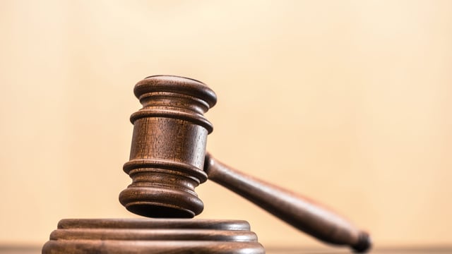 NI farmer banned from keeping animals after welfare investigation