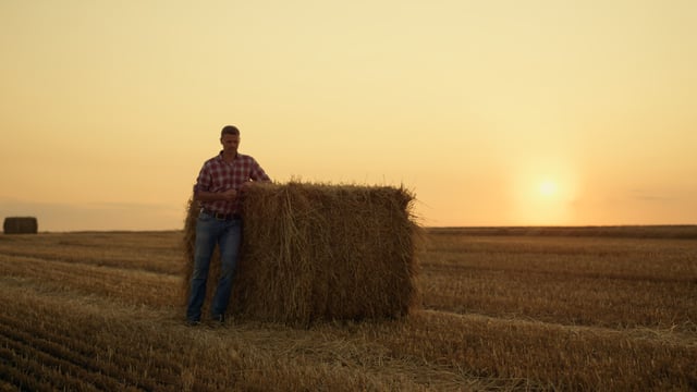 NI farmers lauded for food production in extreme heat