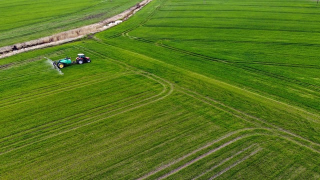 Global farm incomes expected to rise 9% by 2035 if sector stays stable – OECD