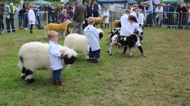 ‘Tremendous’ turnout of young handlers at Armagh Show 2026