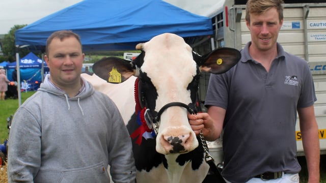 ‘Outstanding’ young dairy cow comes to fore at Newry Show 2026