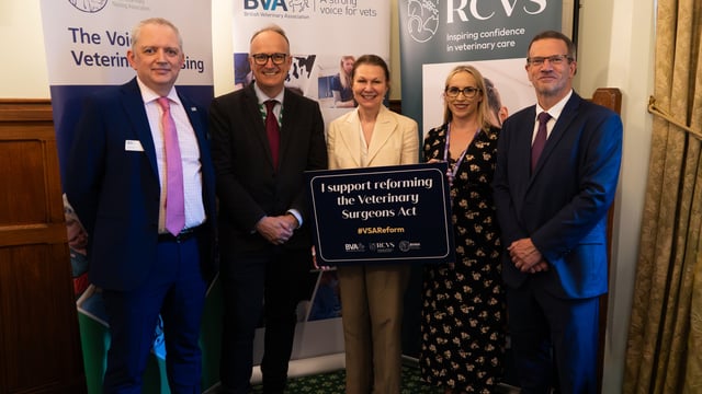BVA draws cross-party support for Veterinary Surgeons Act reform