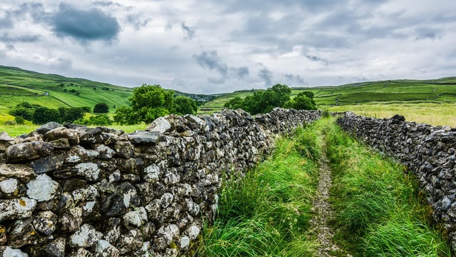 Defra opens first SFI application window with £60m budget
