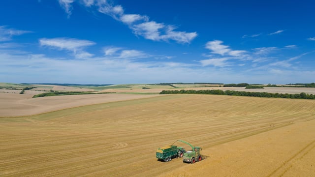 Weather extremes across US and Europe putting pressure on grain prices