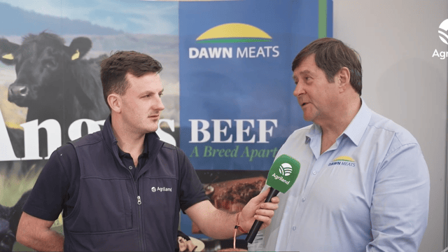 Agriland beef journalist chosen for prestigious global Young Leaders award