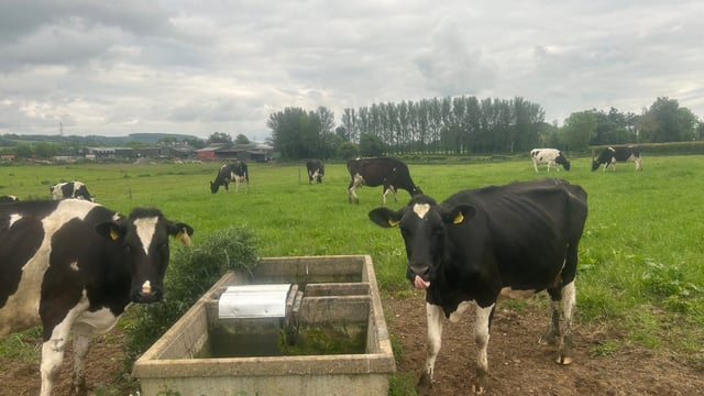 One leaky trough ‘can add up to £200 per week’ to farm’s bill – NI Water