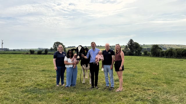 Dairy Focus: Meet Eedy Doorman Fame – Ireland’s highest classified cow