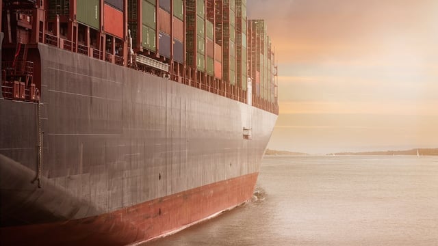 FAO: Global food prices edge down in June
