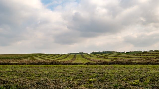 DAERA publishes NI farm performance indicators