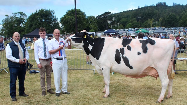 Holstein fifth calver earns plaudits at Castlewellan Show 2026