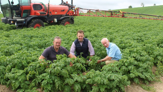 How can the carbon footprint of potato crops be reduced?