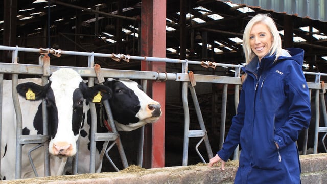 NI farmers urged to take part in TB wildlife consultation