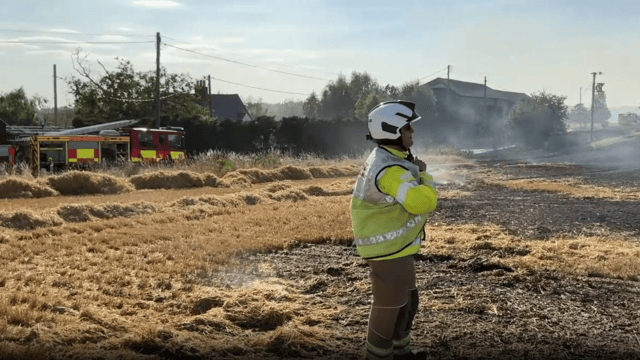 Watch: Firefighters tackle flames on 18ha of Essex farmland