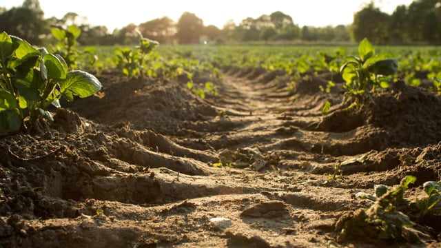Soil Nutrient Health Scheme final phase opening date confirmed