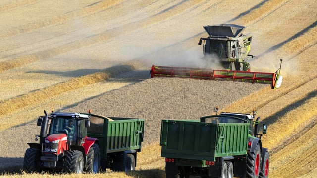 2026 grain yields fall by 30% in parts of UK