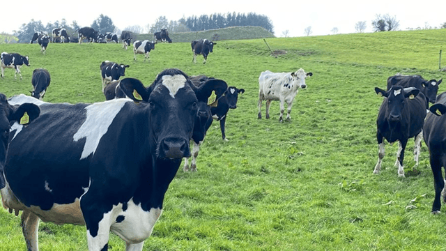 £16.6m genotyping scheme launches next month for NI farmers