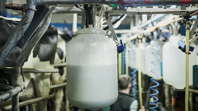 Controlling thermoduric bacteria through the autumn