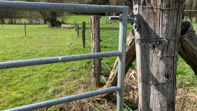DAERA boosts security for staff after Tyrone cattle cull