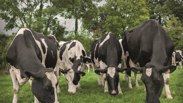 Farmers in north invited on nutrient ‘study tour’ in Wexford