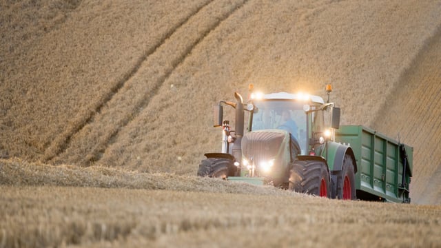 Wheat prices continue to rise amid global production challenges