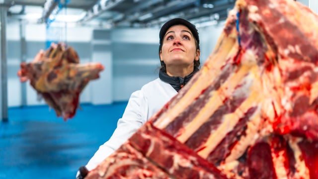 How beef carcass prices affect supermarket prices