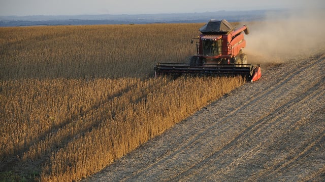 Yields remain low as UK harvest 2026 nears completion