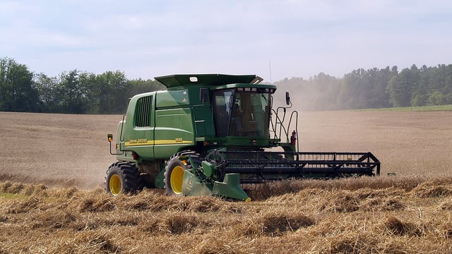 Wheat prices up 5.2% as Black Sea concerns grow
