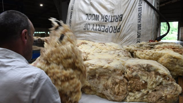 British Wool indicates solid start to sale season
