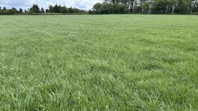 Germinal announces £5m investment in grass seed site in England