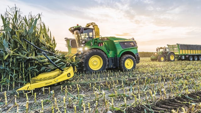 Forage maize crops to be harvested in Antrim by month’s end