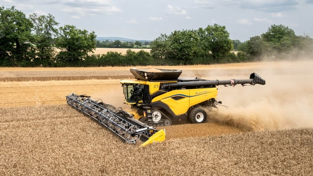Wheat Initiative marks 15 years of global research collaboration