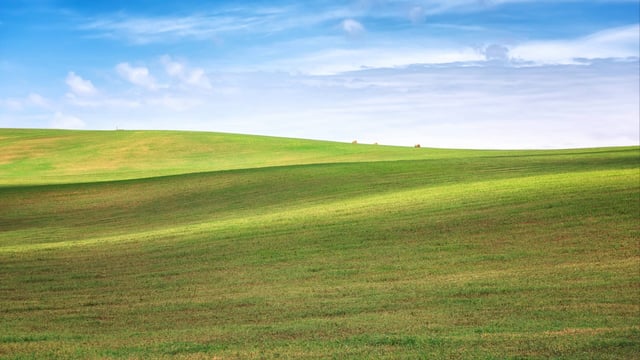 Sustainable livestock farming to be a key focus at Future Grassland 2026