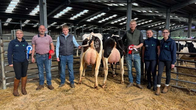 Champion Scottish herd sees heifer sell for 3,700gns