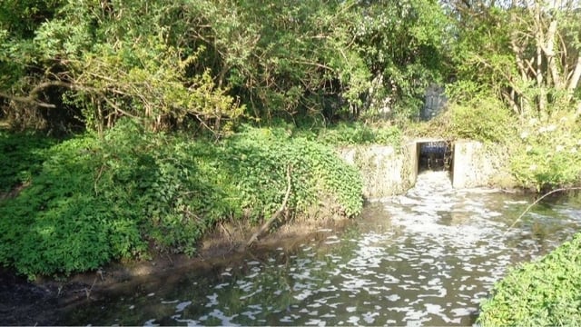 Water company fined £1.6m for river sewage pollution