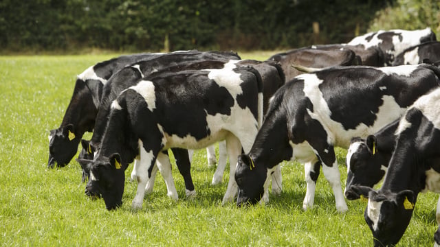 Why retailers want to know about a farm’s carbon footprint
