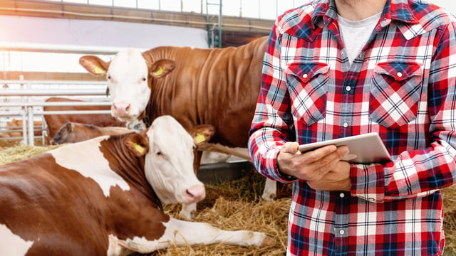 AI is changing farming: Are farmers asking the right questions?