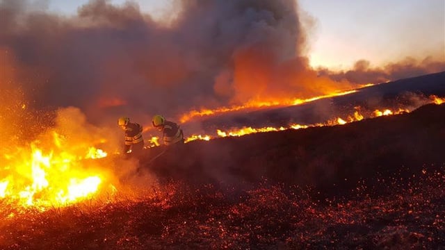 NI farm fire costs up 73% in 2025 due to summer heat