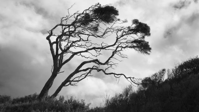 Storm Boelo to bring ‘strong winds’ to Northern Ireland at weekend