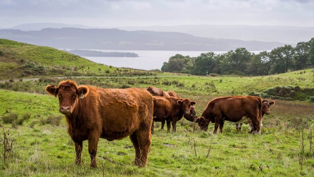 Scottish farms pilot climate-resilience programme in National Park
