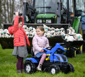 Over 1,900 toy sheep to be hidden across Scotland for RHASS anniversary